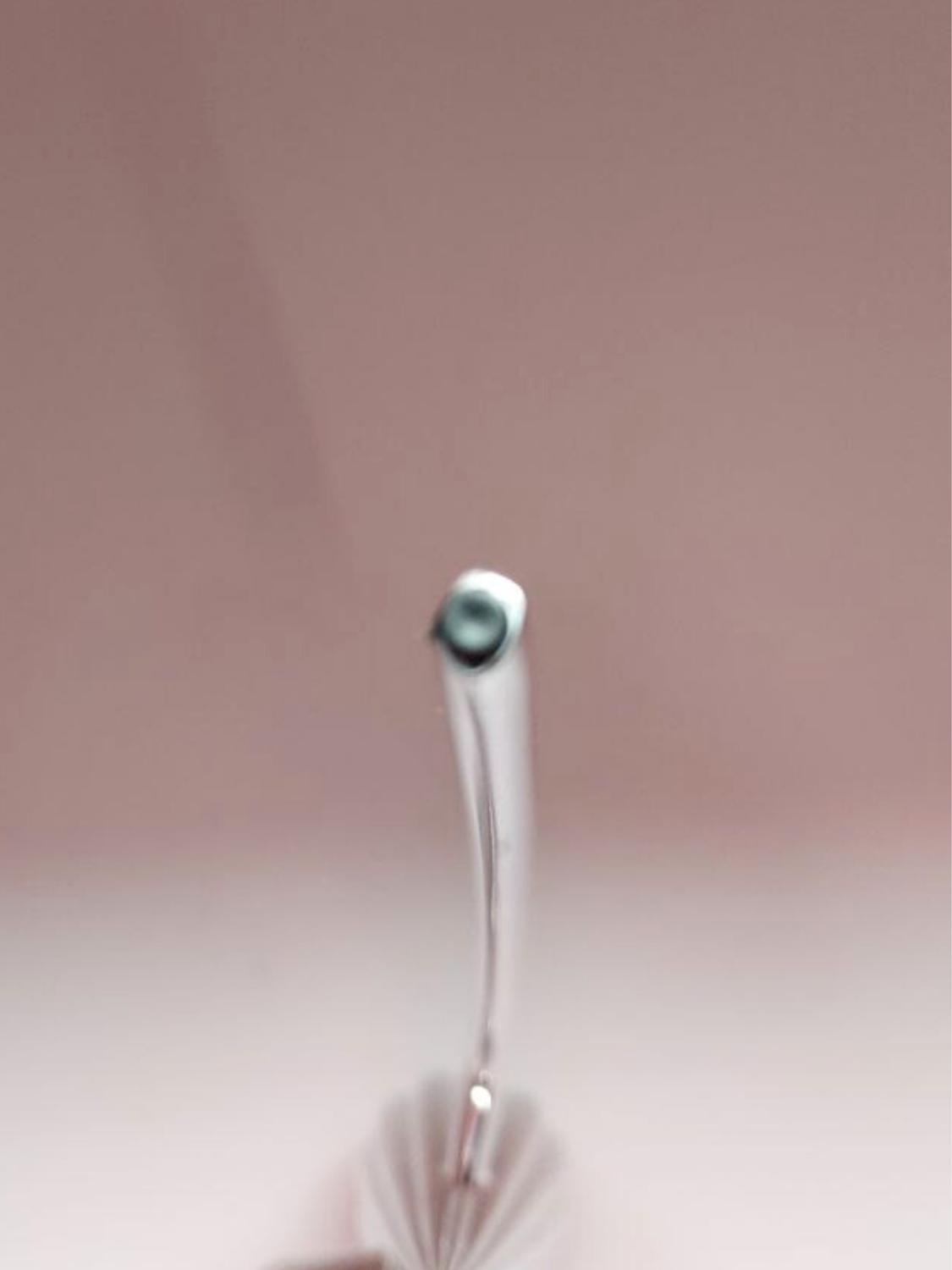Close-up of a silver lemon squeezer leg