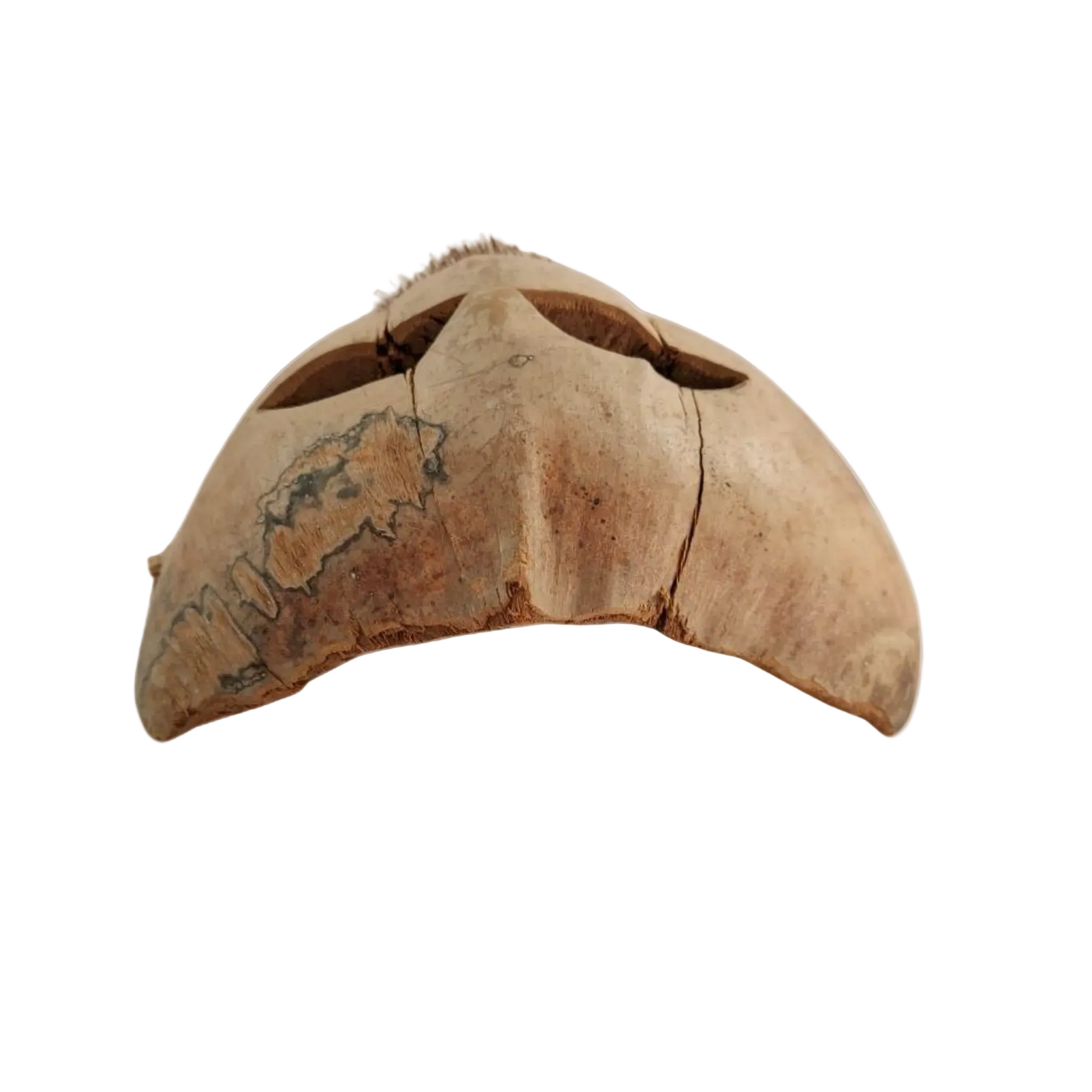 Vintage coconut husk mask on a white background