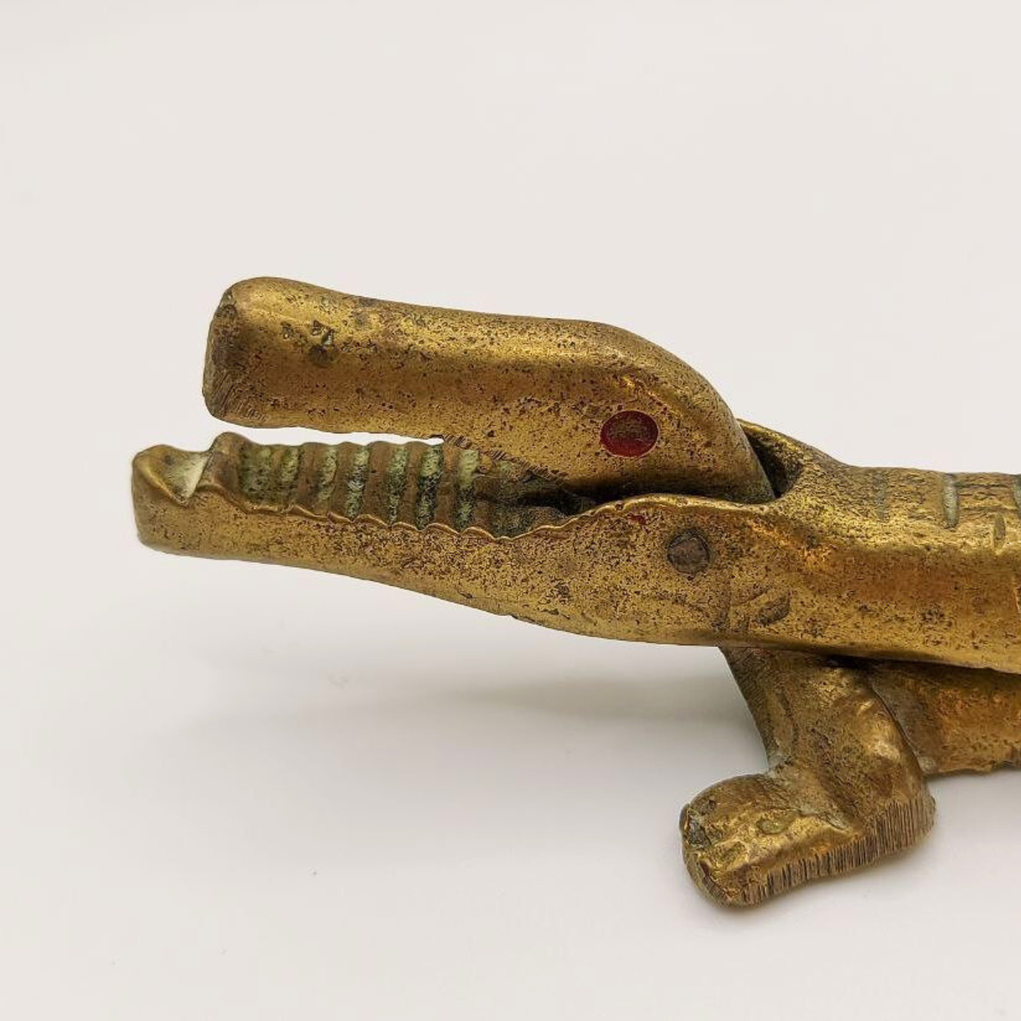 Brass crocodile head with red eye on a white background