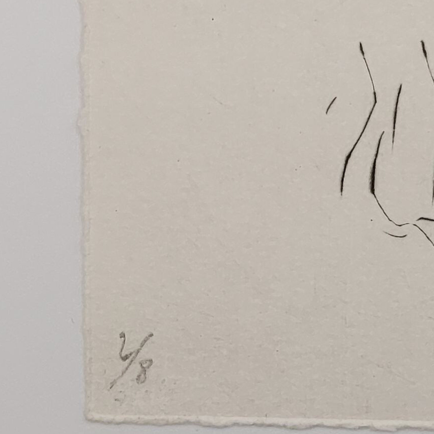Artistic sketch on textured paper with "2/8" at the bottom left corner.