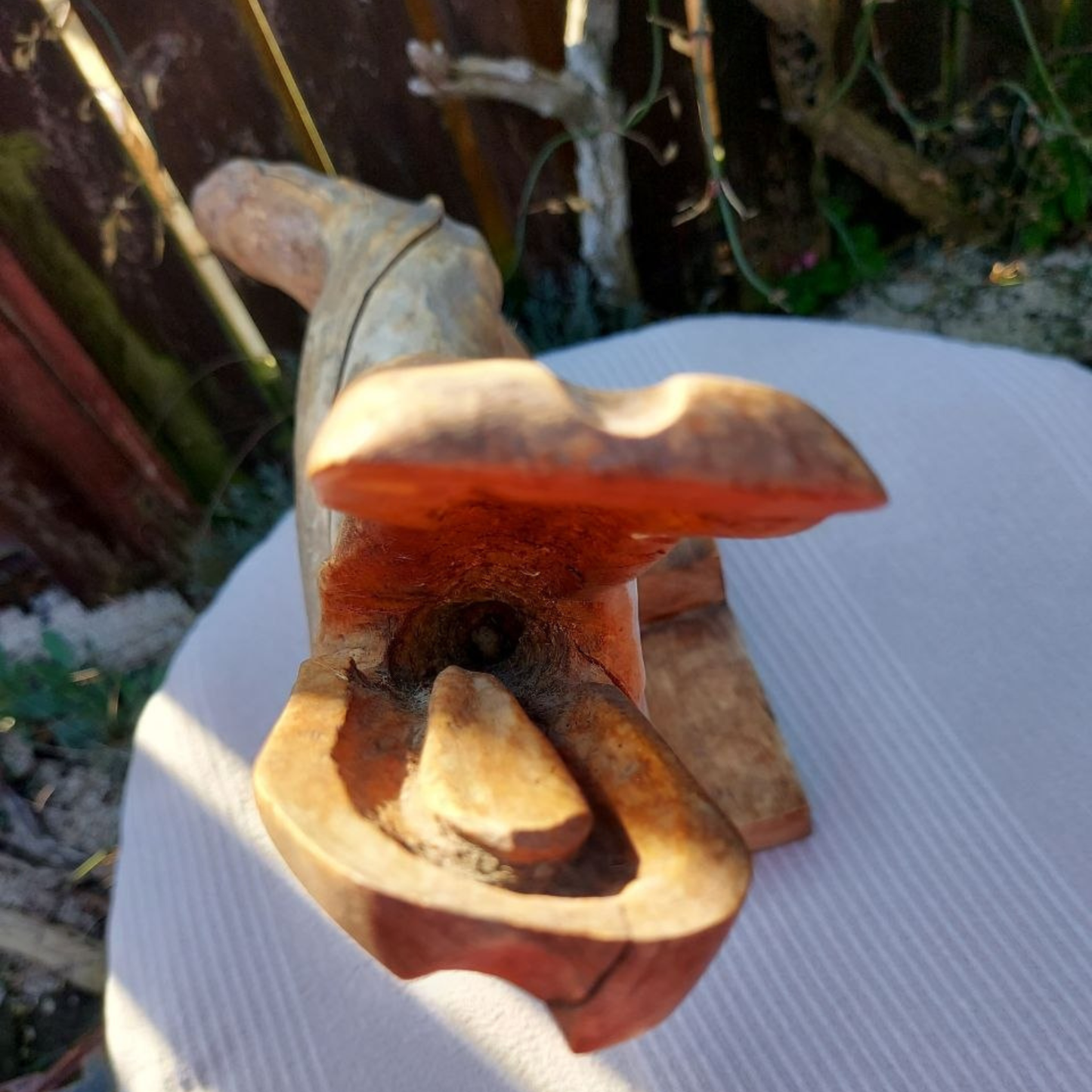 A close-up of the mouth of a driftwood sculpture