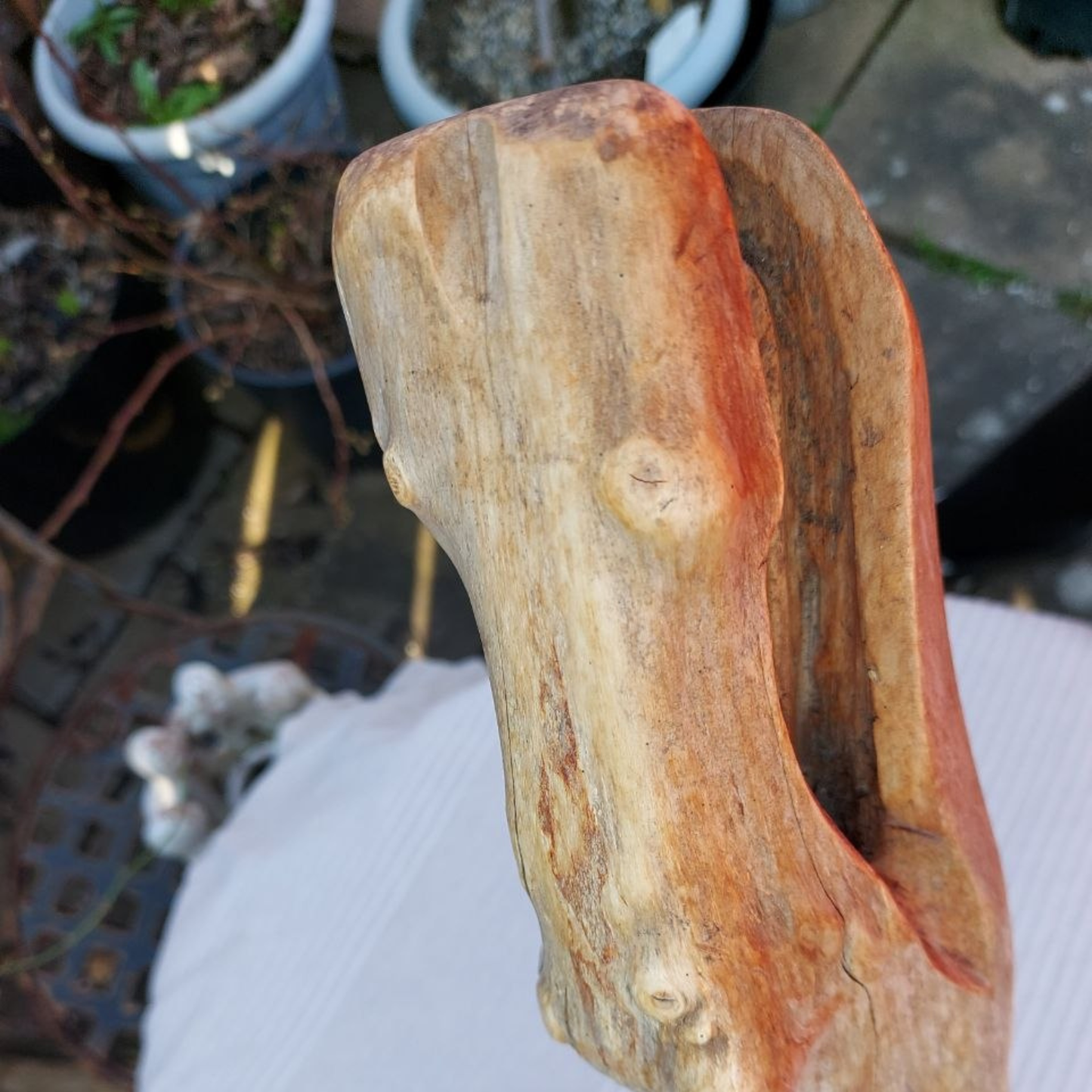 A close-up of the head of a driftwood sculpture