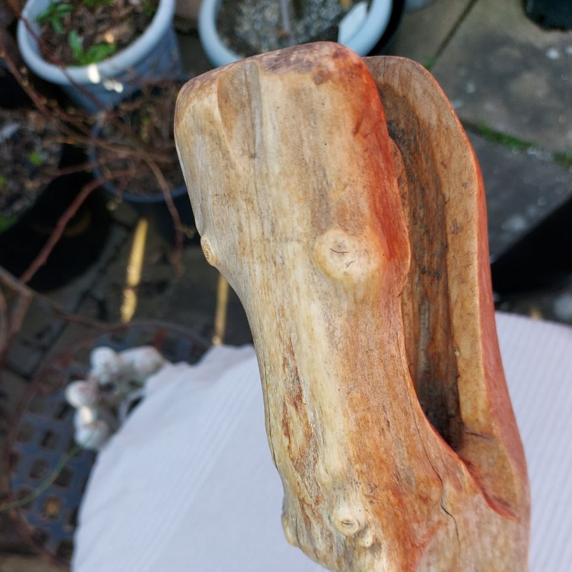 A close-up of the head of a driftwood sculpture